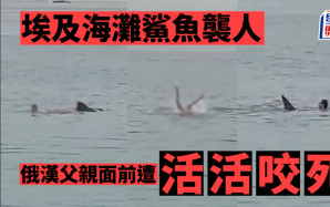 有片｜埃及海灘鯊魚襲人 俄漢父親面前遭活活咬死