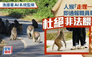 杜絕非法餵飼亂象！漁護署AI系統全天候監察 人猴「走埋一齊」即通報職員執法