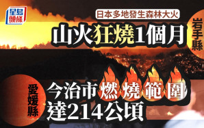 遊日注意 | 岩手山火狂燒1個月 日本政府列「激甚災害」