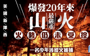 美國新澤西爆近20年來最嚴重山火 19歲少年涉縱火被捕