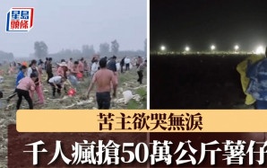 50萬公斤薯仔｜安徽500畝農田遭村民瘋搶 苦主：最多有近千人｜有片
