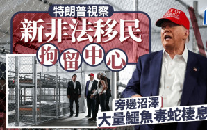 佛州「惡魔島」拘留非法移民 鱷魚當守衛 特朗普讚不絕口