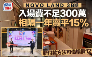 NOVO LAND 3B期入場費不足300萬 相隔一年賣平15% 新付款方法可借樓價125%