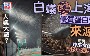 上海上演人蟻大戰   網民：最有效方法是「炸來吃」