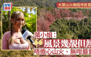 大棠紅葉．多圖｜山火無阻港人上山打卡  有市民指紅葉景觀遜往年