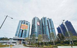 兩焦點盤接連出擊掀動力