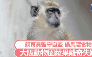 人工太低？︱日本動物園離奇竊案  47歲飼育員偷高級蔬果