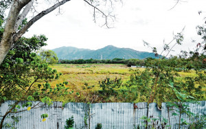 新地米埔項目縮密度申建2322伙