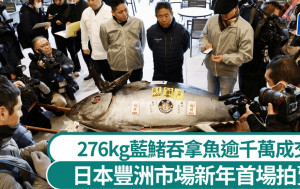 日豐洲市場新年首拍  276kg「吞拿魚王」逾千萬成交成史上第二高