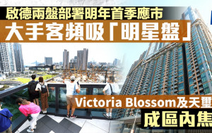 啟德兩盤部署明年首季應市 大手客頻吸「明星盤」Victoria Blossom及天璽．天成焦點