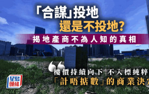 「合谋」投地还是不投地？揭开地产商不为人知的真相「不入标纯粹是计唔掂数的商业决定」