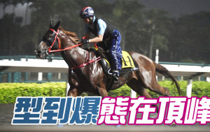 內圈捕影│ 「型到爆」心火旺盛