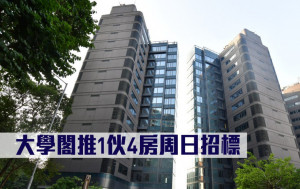 熱辣新盤放送｜大學閣推1伙4房周日招標
