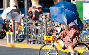 上海高溫40℃破紀錄 市民：貓也熱到睡不着