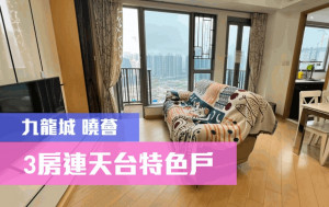 睇樓王｜九龍城曉薈 3房連天台特色戶