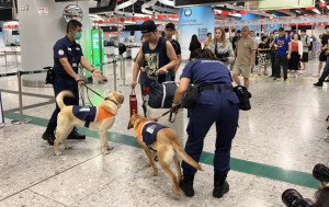 非法攜生肉雞蛋回港趨升 今年首8月逾1300宗 國慶黃金周跨部門加強打擊