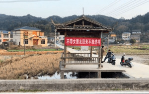 「不帶女朋友回來不准進村」橫幅惹村民反感 村支書：已撤下