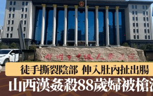 恐怖姦殺︱山西漢性侵88歲婦遭槍決  徒手撕裂陰部拉出腸道