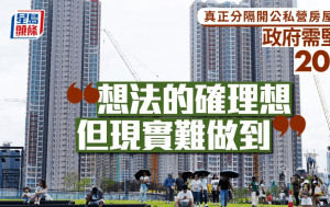 真正分隔開公私營房屋市場 政府需堅持20年「想法的確理想 但現實難做到」｜汪敦敬