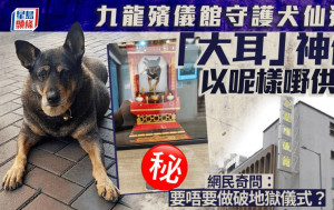 九龍殯儀館守護犬仙遊 「大耳」神位以呢樣嘢供奉 網民奇問：要破地獄？｜Juicy叮