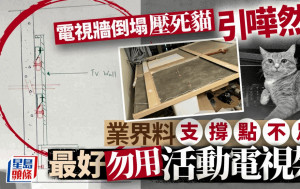 電視牆倒塌壓死貓引嘩然 業界料支撐點不足 最好勿用活動電視架