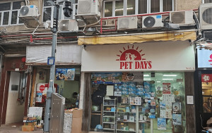 持刀賊闖屯門寵物店 指嚇女店員劫$2400 重案組接手調查