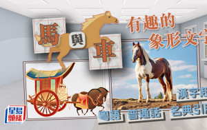 趣味学汉语｜「马」与「车」有趣的象形文字
