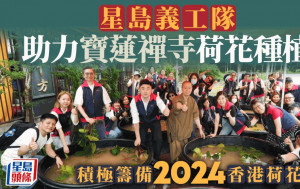 星島義工隊助力寶蓮禪寺荷花種植 積極籌備2024香港荷花展