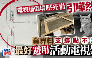 電視牆倒塌壓死貓引嘩然 業界料支撐點不足 選用固定式電視架較安全