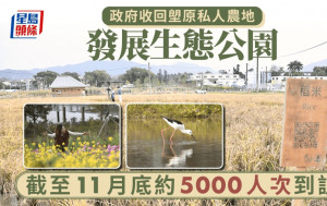 北都｜政府收回塱原私人農地發展生態公園 至11月底約5000人次到訪