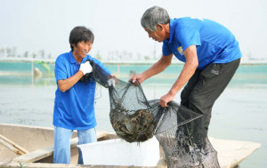 大閘蟹開捕︱炎熱影響產量蟹乸價升18%  天價禮盒8隻售¥2588