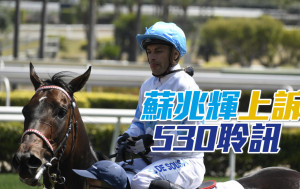 董事局五月三十日聆訊騎師蘇兆輝的上訴