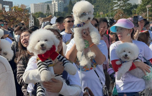 提升調查人員專業知識  蕭澤頤：動物罪案警察專隊情著重情報收集 鼓勵舉報