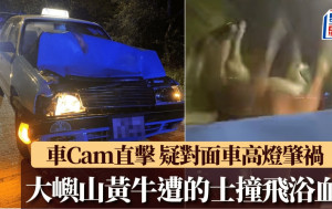 車Cam直擊｜大嶼山黃牛遭的士高速撞飛 網民批對面車亮高燈：乜都睇唔到