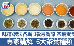 茶葉點揀｜專家講解6大茶葉種類 1款最香醇 味道/製法各異 綠茶/白茶/黃茶/青茶/紅茶/黑茶 食材知識