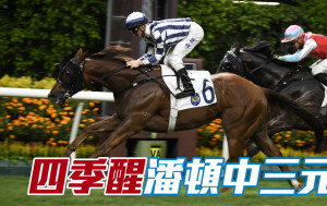 馬場密探048｜「四季醒」潘頓中三元