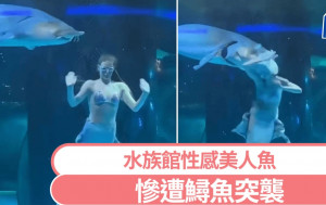 雲南水族館鱘魚發狂  「美人魚」表演者慘遭咬頭︱有片