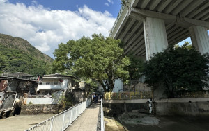 珍惜生命｜屯門公路女子墮橋 倒臥引水道