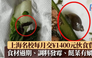 上海名校食堂餸菜現蟲屍蝸牛  數十學生嘔吐腹瀉