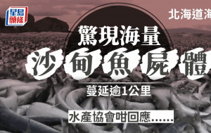 日本北海道海岸現大量魚屍體 「魚浪」蔓延1公里原因不明