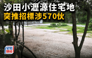 沙田小瀝源住宅地 突推招標涉570伙