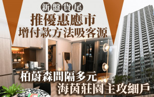 新盤貨尾推優惠應市 增加付款方法吸客源 柏蔚森間隔多元 海茵莊園主攻細戶