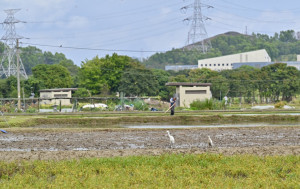 新田科技城︱環保署 : 環評研究概要有效無需重做  會嚴格按照規定審批