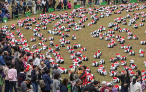 PANDA GO｜逾千聖誕「熊貓」中山紀念公園展出  市民領取認捐「熊貓」十分開心