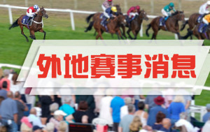 高多芬兩歲巨型雌馬一出即勝