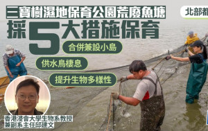 北都｜三寶樹濕地保育公園荒廢魚塘採5大措施  合併兼設小島  提升生物多樣性