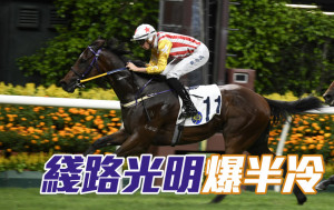 馬場密探048│「綫路光明」半冷贏馬