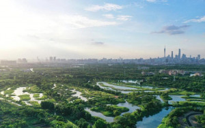 中國新增國際重要濕地18處 海珠濕地、福田紅樹林上榜