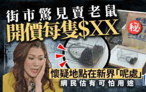 街市驚見賣老鼠開價每隻＄ＸＸ 懷疑地點在新界「呢處」網民估有可怕用途｜Juicy叮