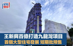 王新興百億打造九龍灣項目 首個大型住宅發展 短期批預售
